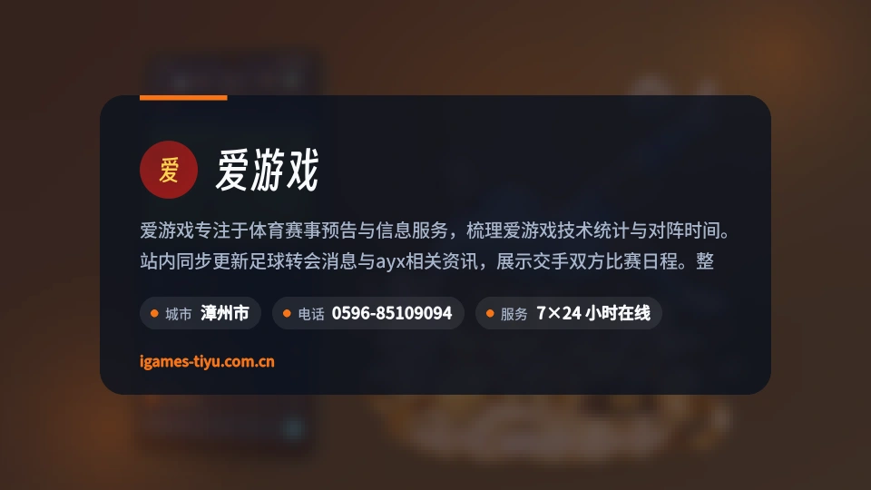 爱游戏印象
